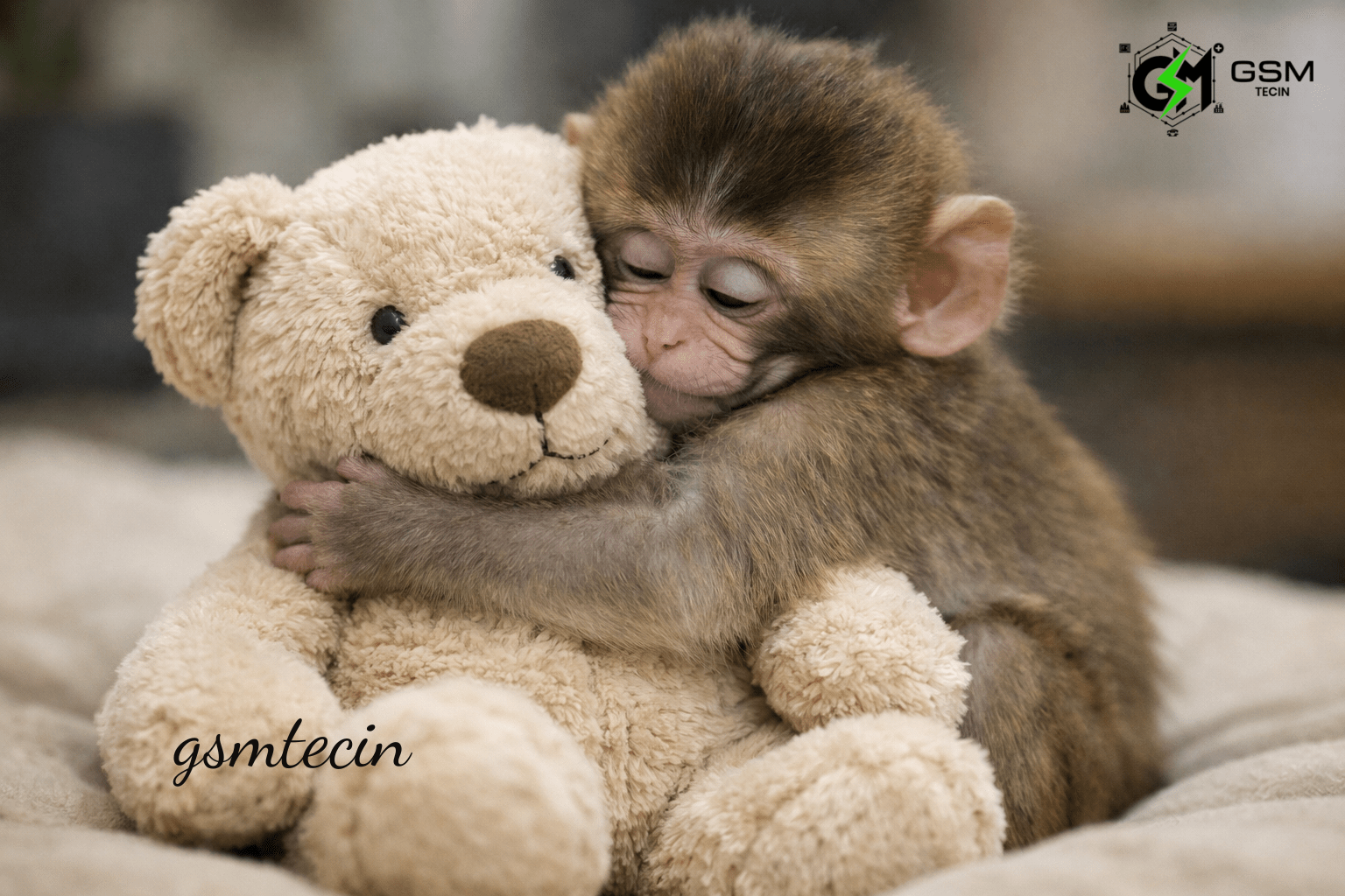 Punch makes IKEA toy go viral; price revealed